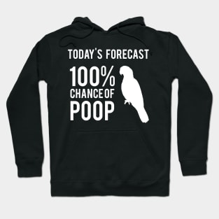 Today's Forecast 100% Chance of Poop, parrot Hoodie